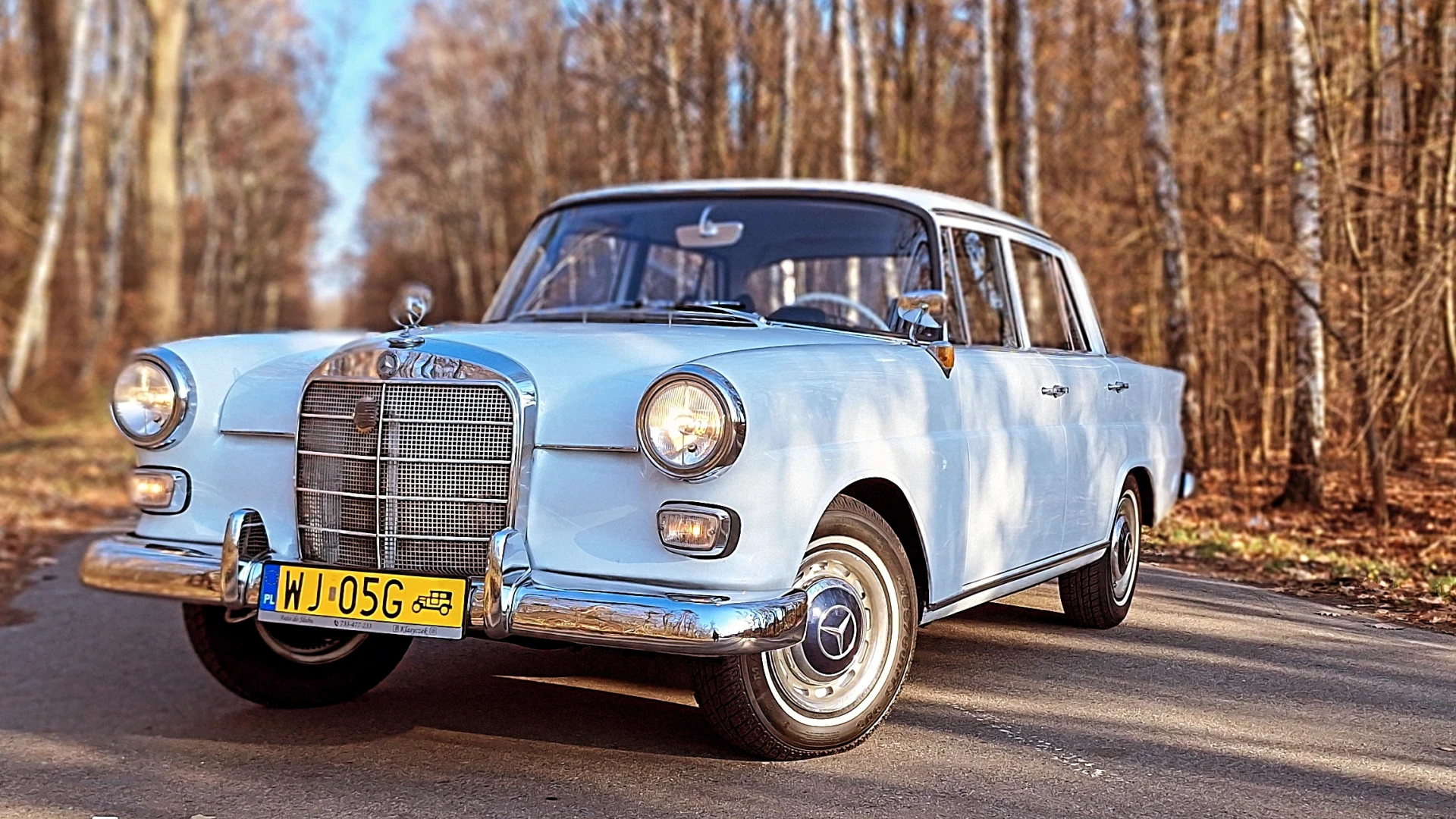 Mercedes W110
