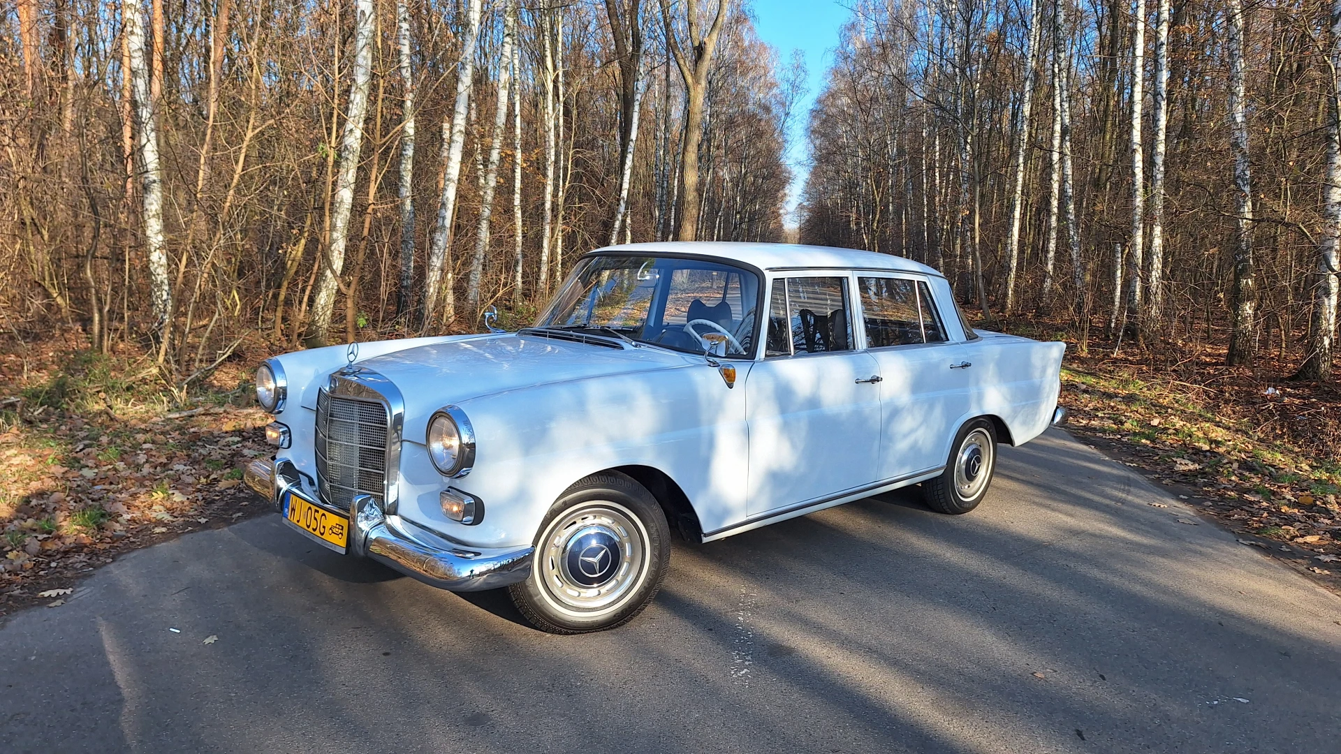 Mercedes W110