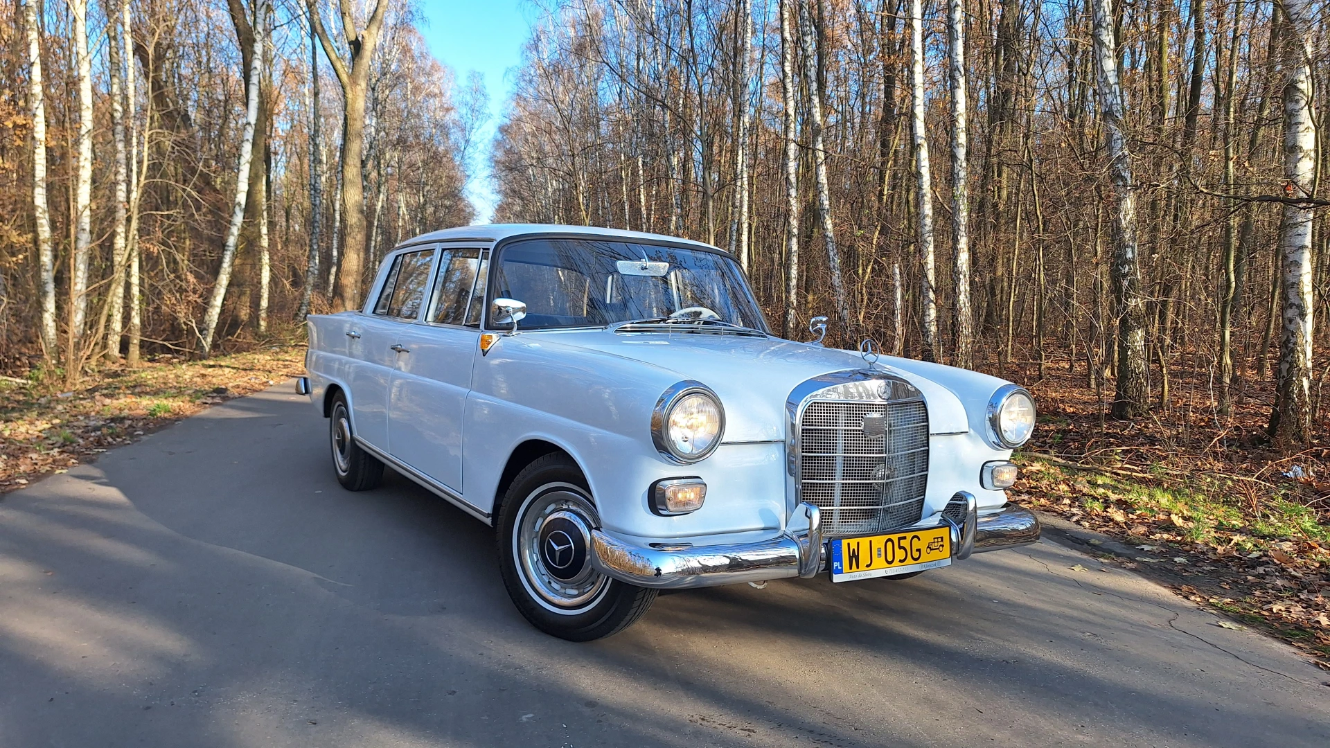 Mercedes W110